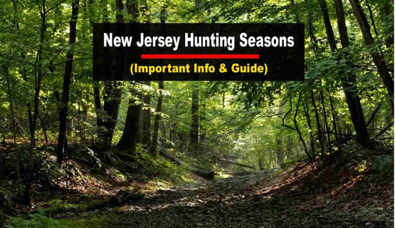 New Jersey Hunting Seasons Updated Schedule