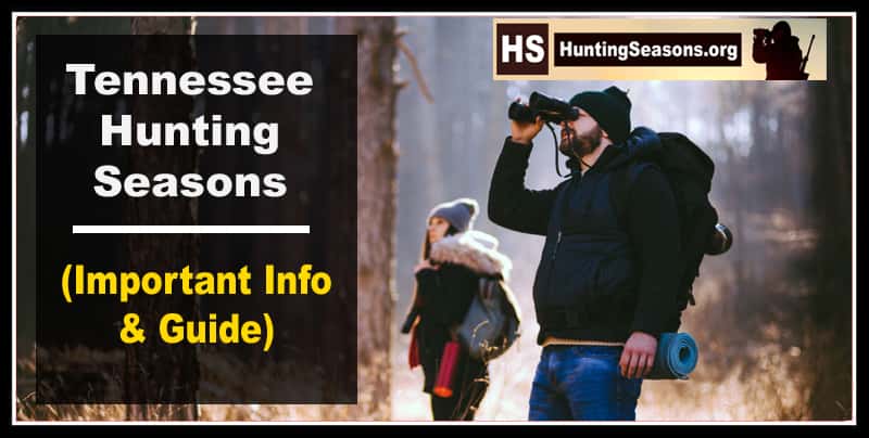 Tennessee Hunting Season