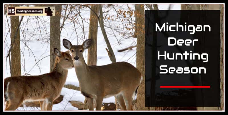 Michigan Hunting Seasons [Quick Guide & Info] - HuntingSeasons.Org