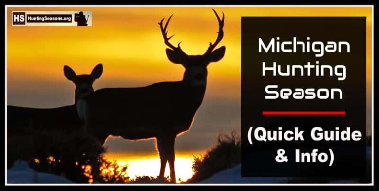 Michigan Hunting Season 2024-2025 New Digest Rules & Dates!