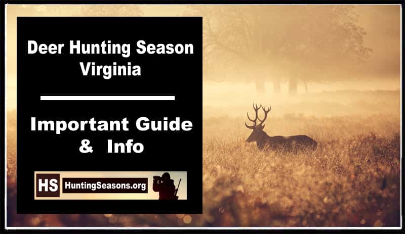 Deer Hunting Season VA
