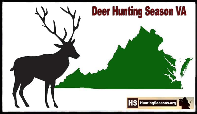 Virginia Deer Hunting Seasons