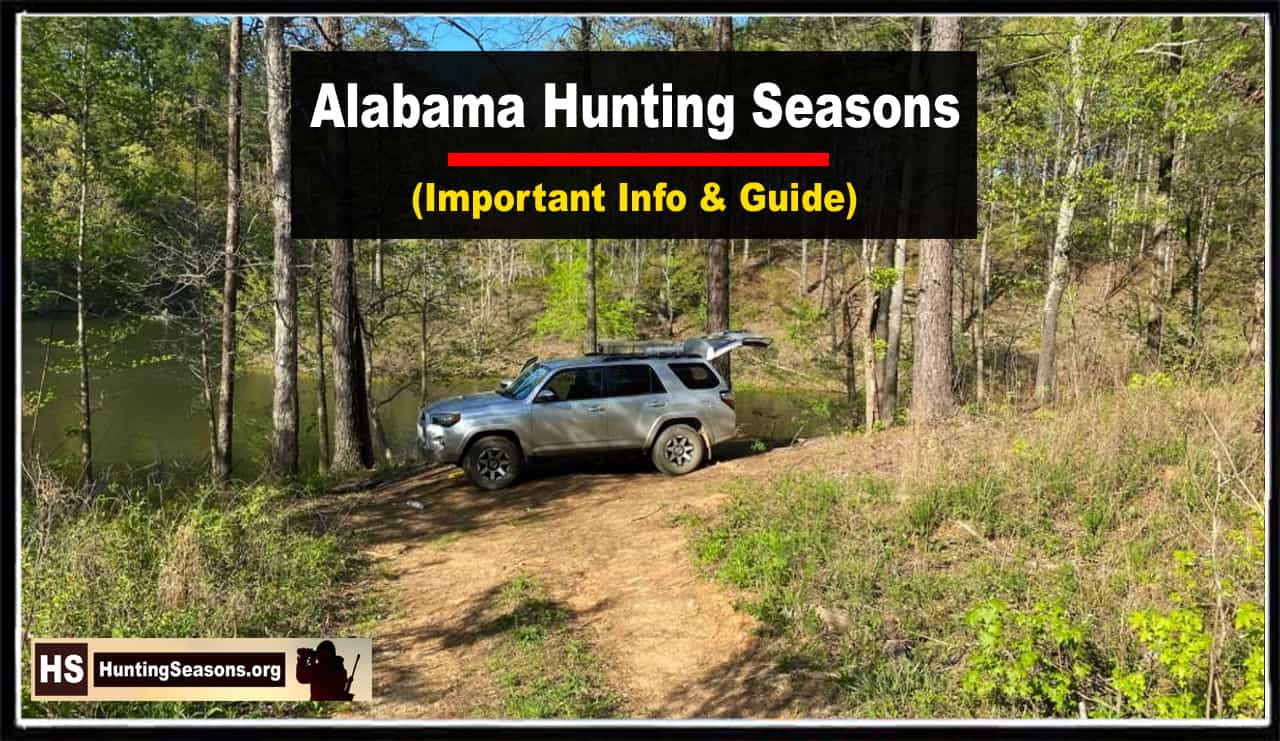 2024 Alabama Hunt New Dates, Licenses, Maps, & More!