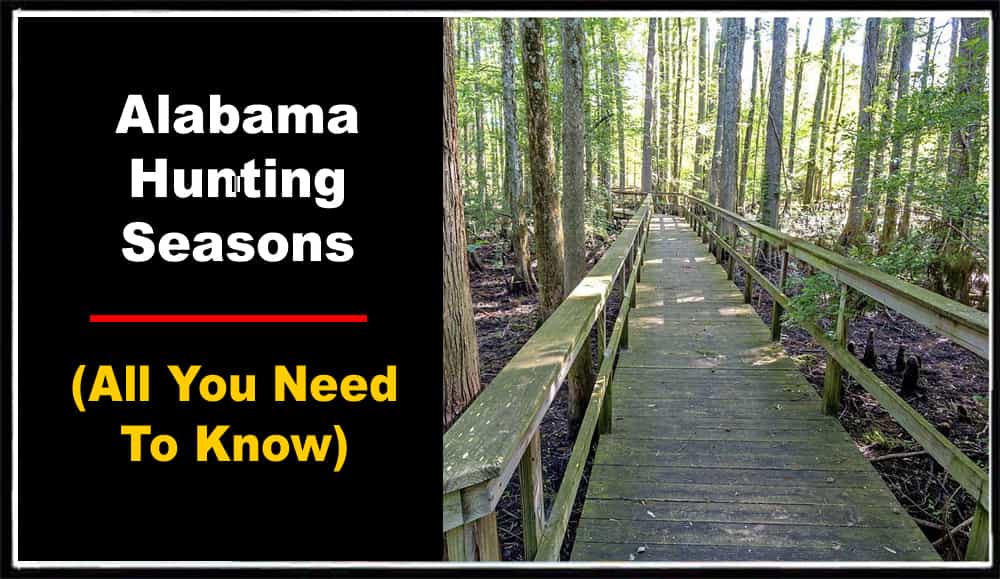 Alabama Hunting Seasons