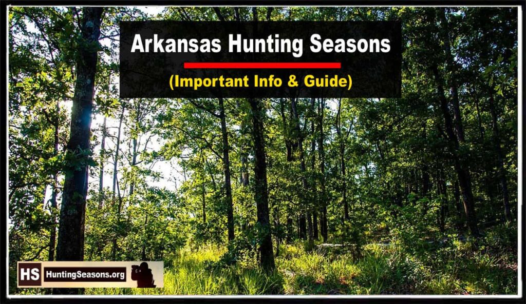 Arkansas Hunting Season 2023 New Dates Rules HuntingSeasons Org