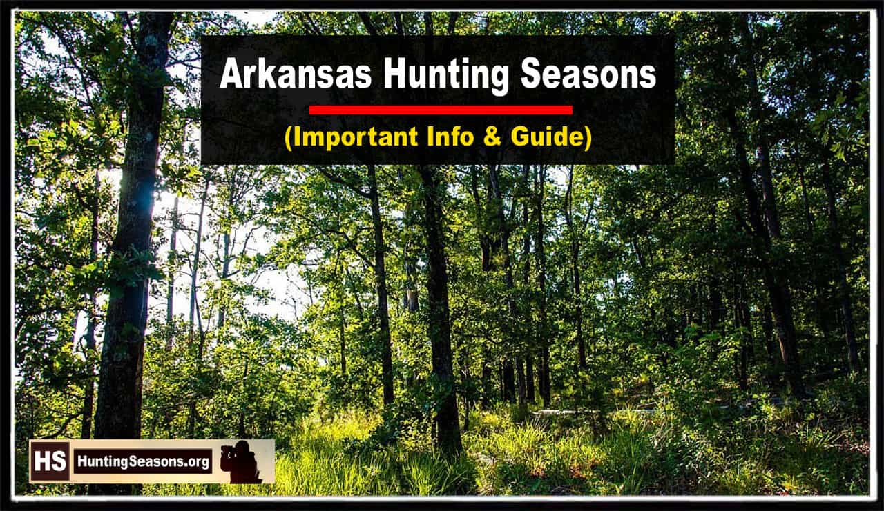 Arkansas Hunting Season 2023 New Dates & Rules