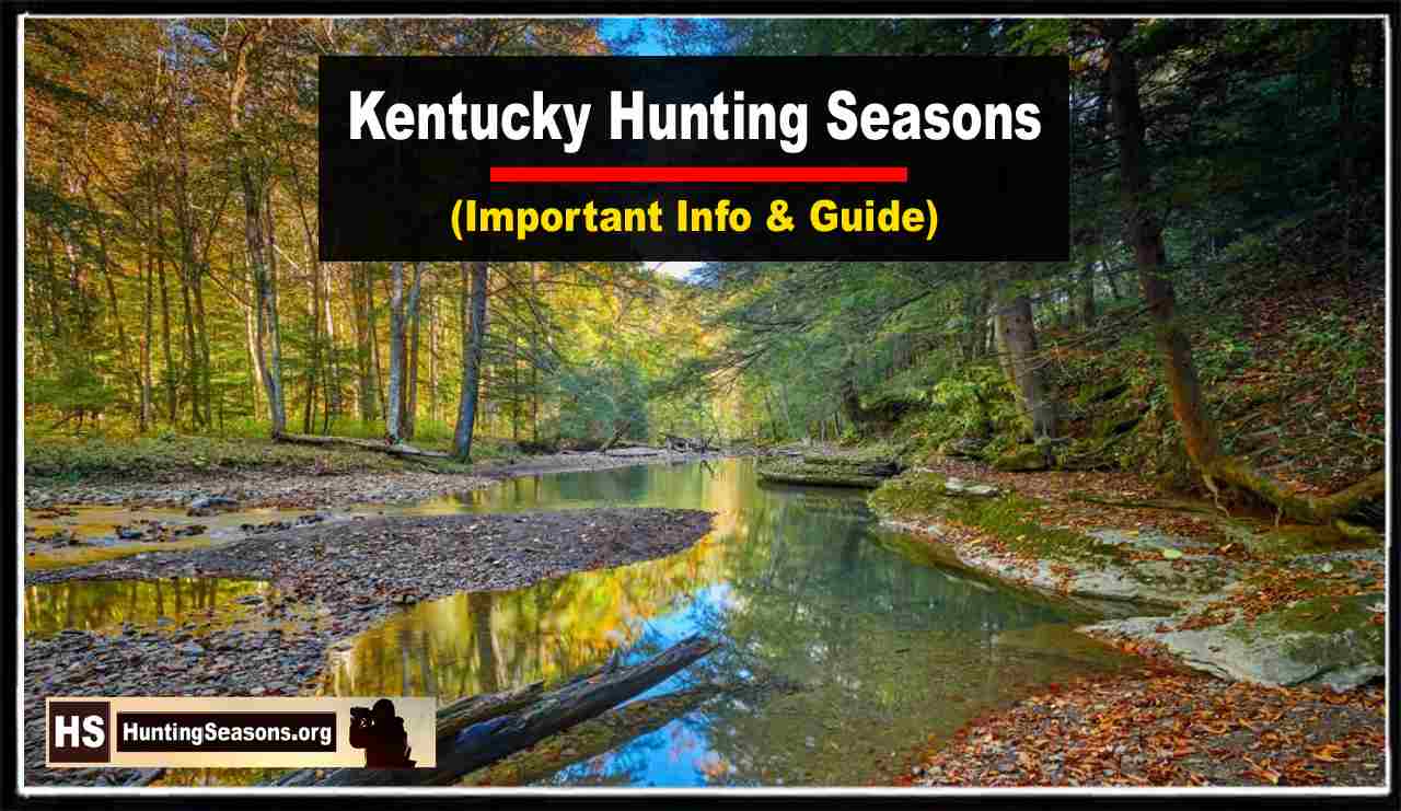 Kentucky Hunting Seasons 20232024 [Updated]