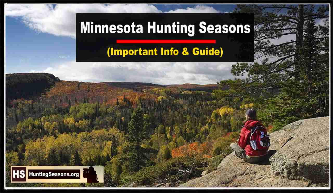 Minnesota Hunting Seasons 20232024 [Updated Schedule]