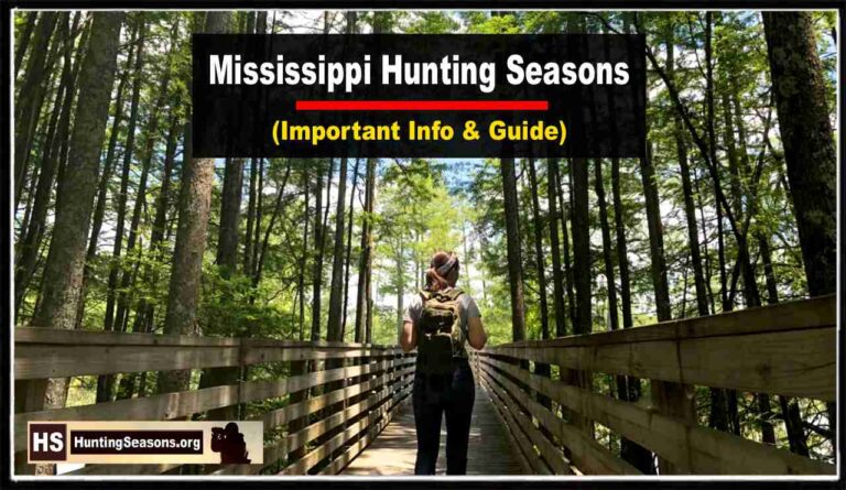 Mississippi Hunting Seasons 2023-2024 [Updated Schedule!]