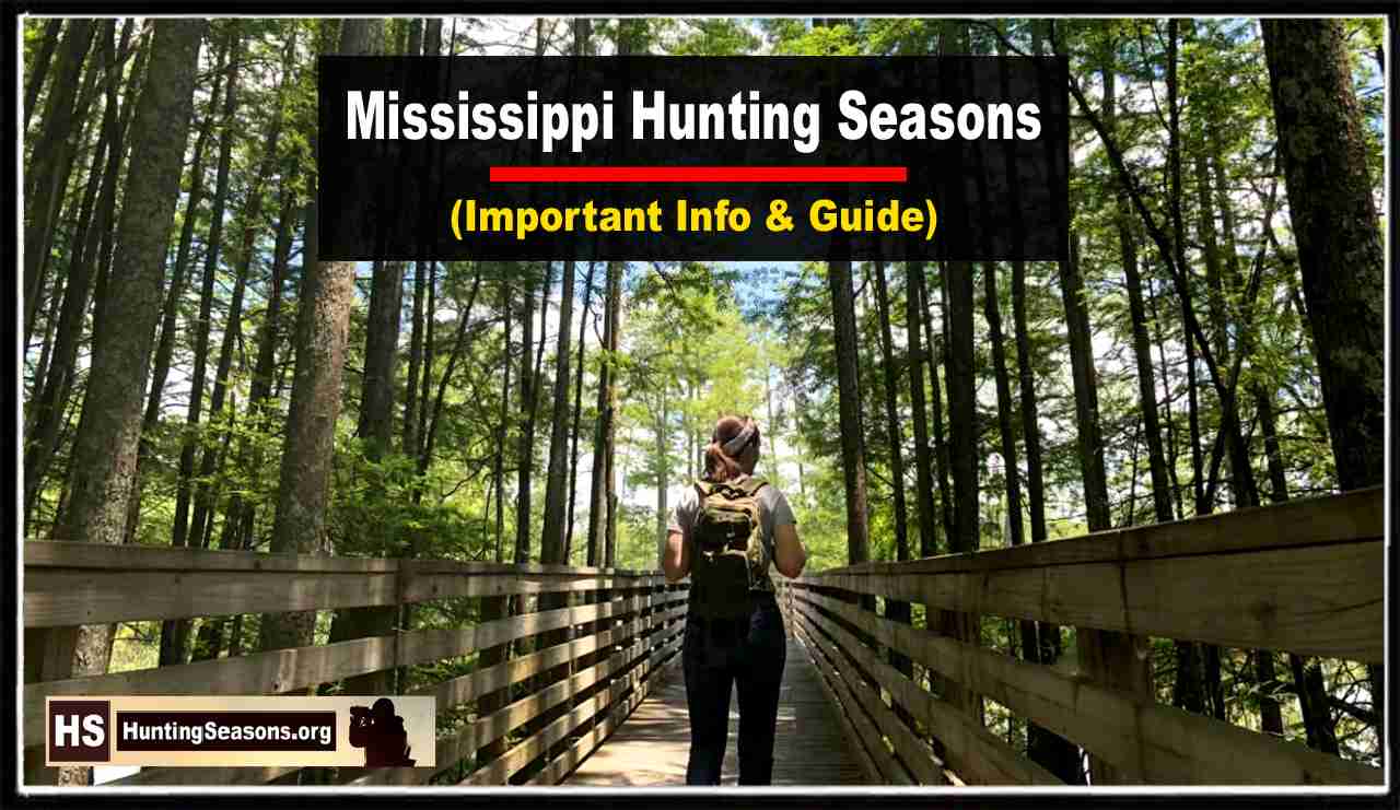 Mississippi Hunting Seasons 2023 [Updated Schedule!]