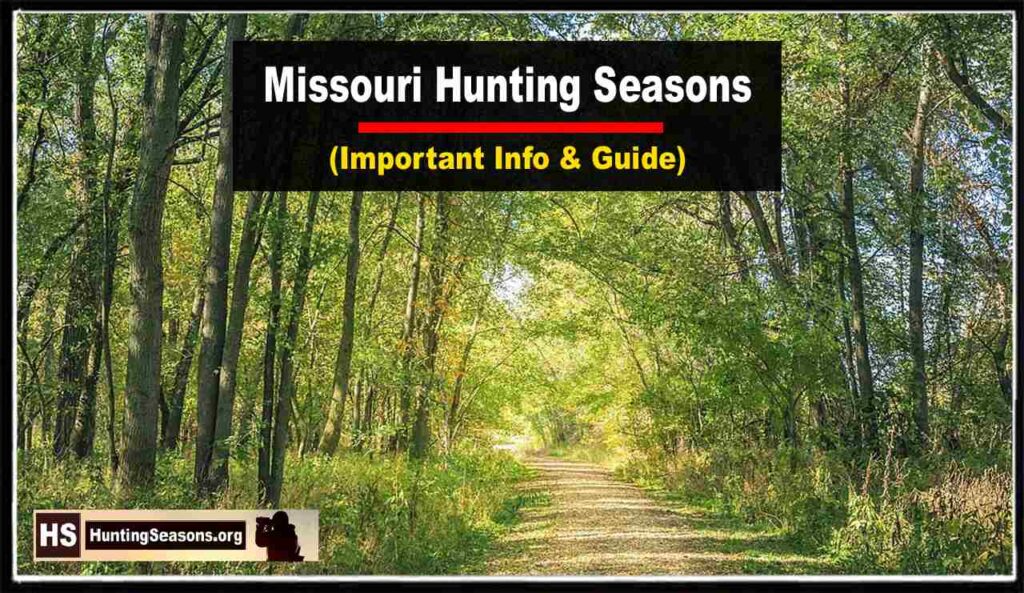 Missouri Hunting Seasons 20252025 [Latest Guide!]