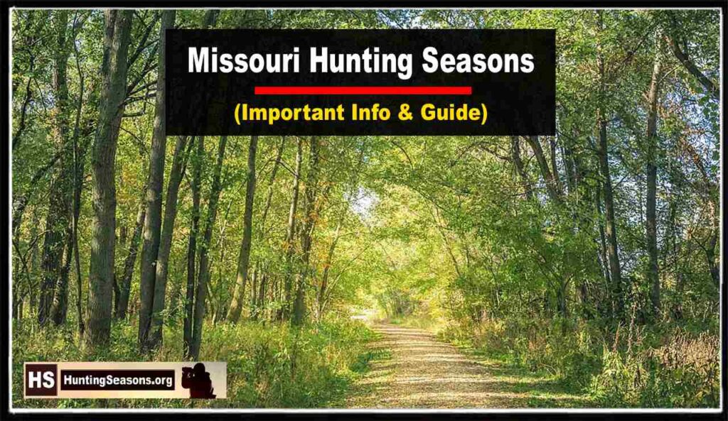 Missouri Hunting Seasons 2023 2024 Latest Guide HuntingSeasons Org