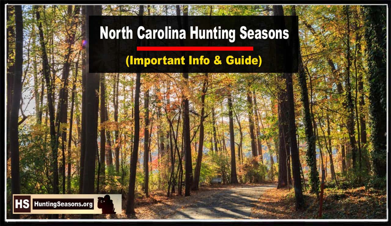 North Carolina Hunting Seasons 20232024 [Latest Update