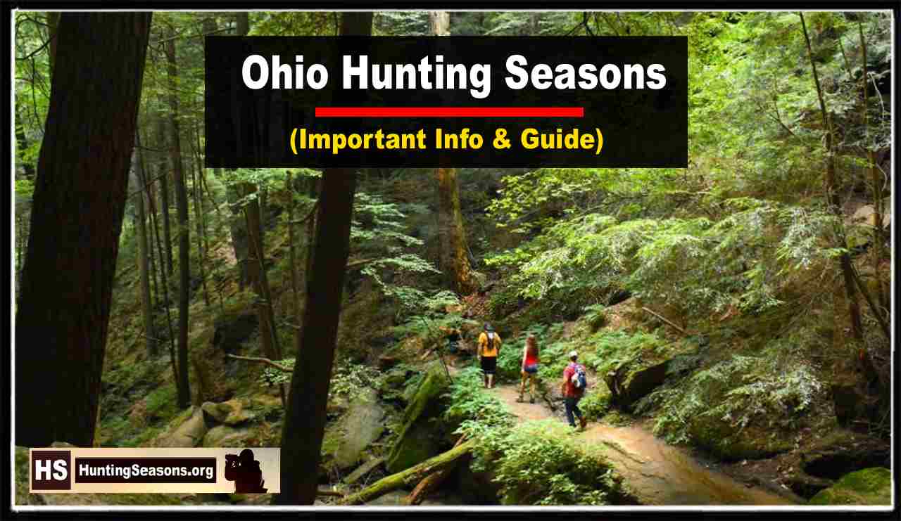 2024 Ohio Hunting Seasons New Regulations & Dates!