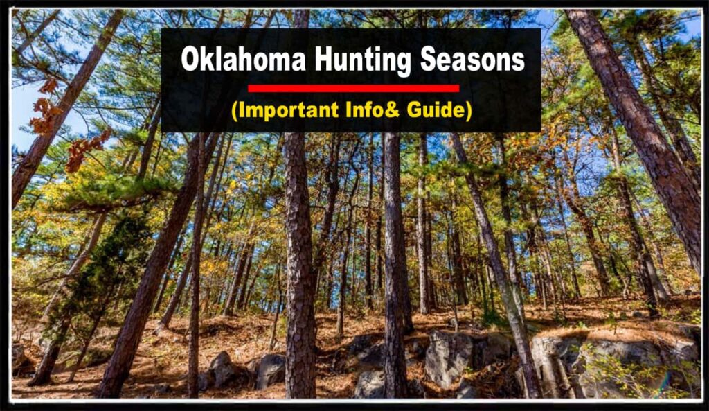 Oklahoma Hunting Seasons