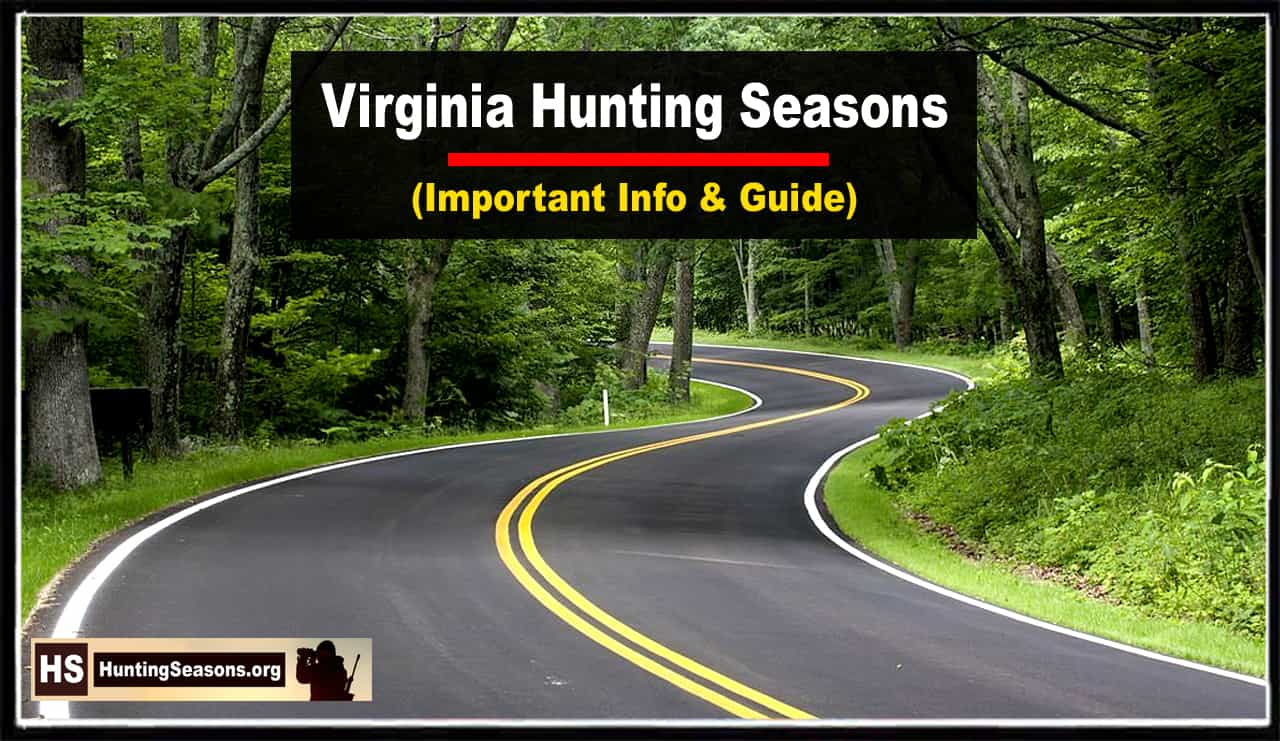 Virginia Hunting Seasons 2023 2024 Updated Schedule HuntingSeasons Org