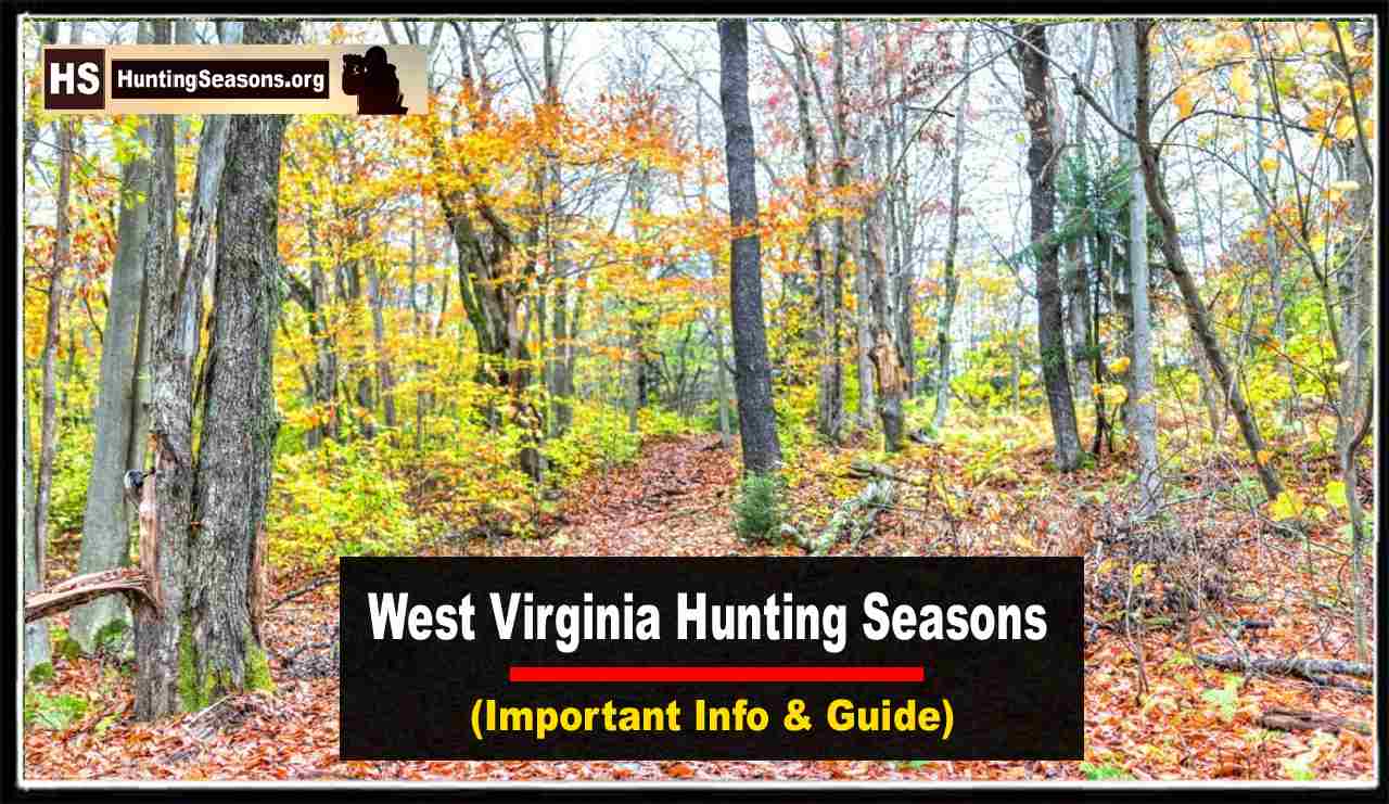 West Virginia Hunting Seasons 20232024 New Dates & Regulations