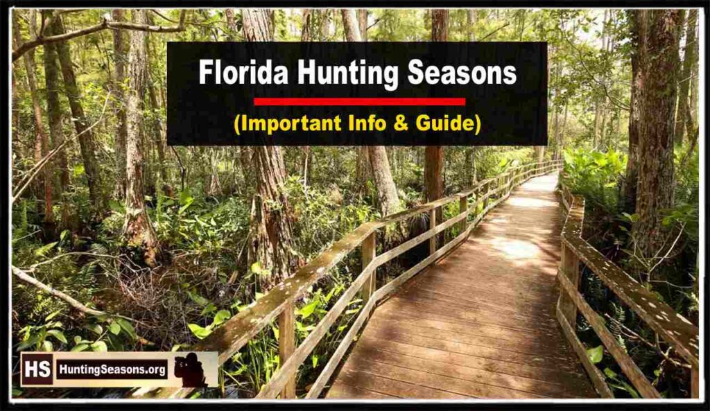 Florida Hunting Seasons