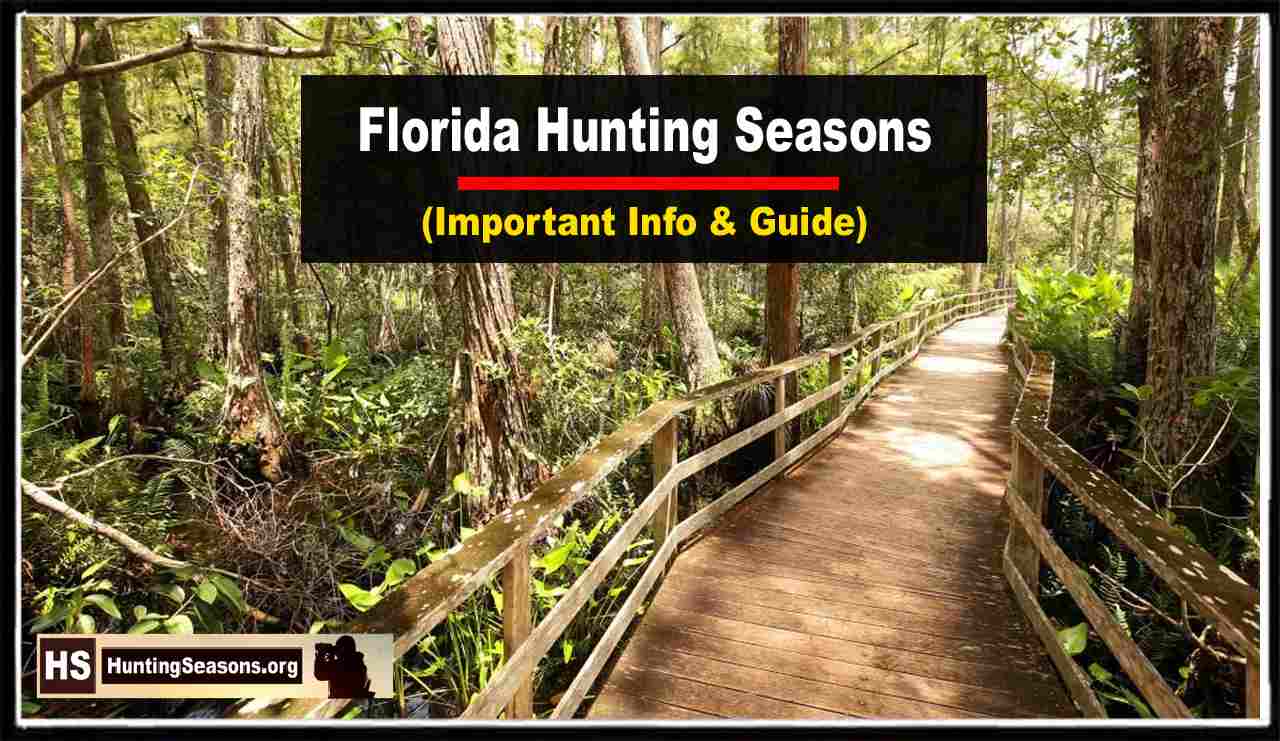 Florida Hunting Season 2023 New Regulations & Dates