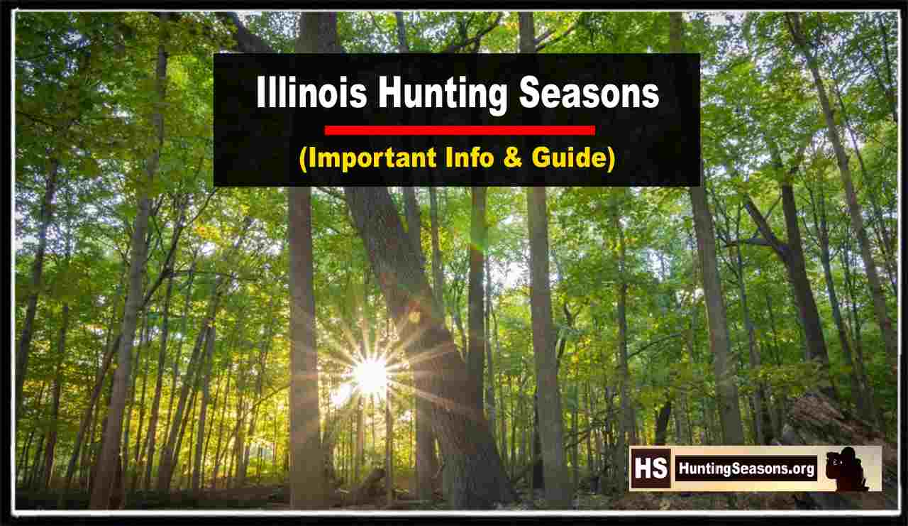Illinois Hunting Seasons 20232024 New Regulations & Dates