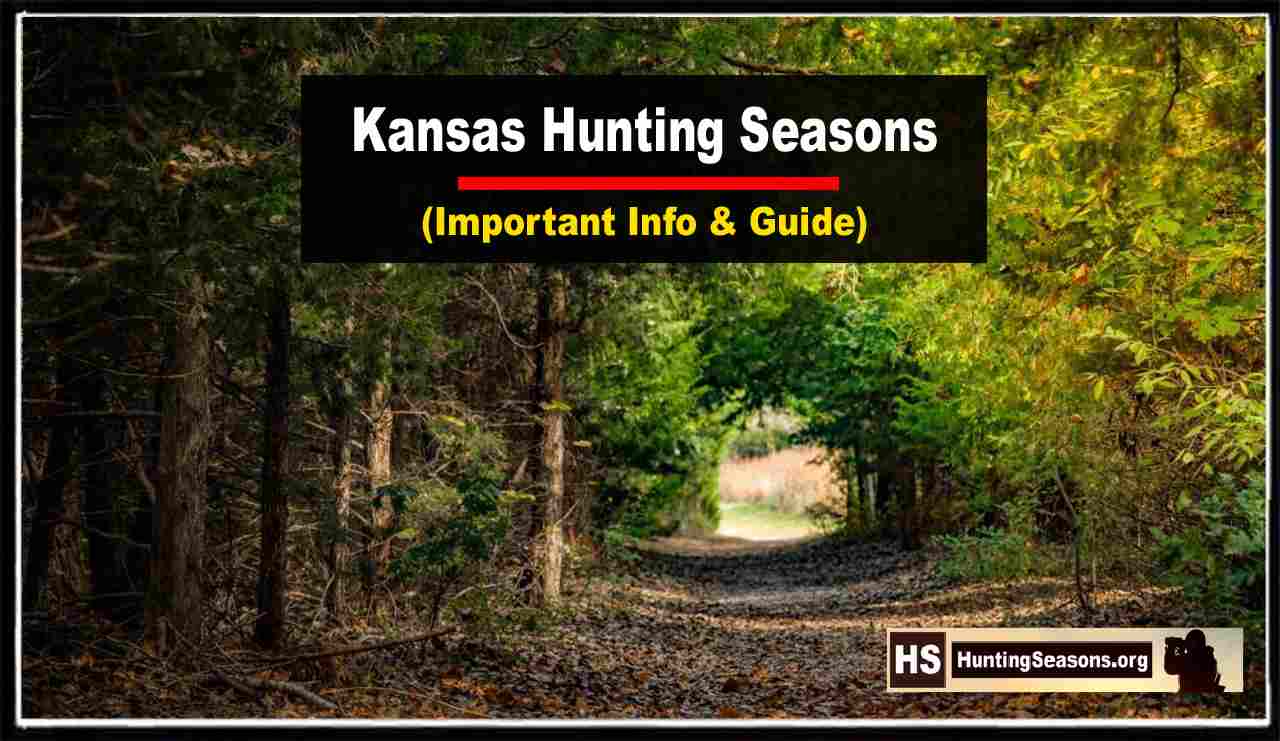 Kansas Hunting Seasons 20232024 [Latest Schedule!]