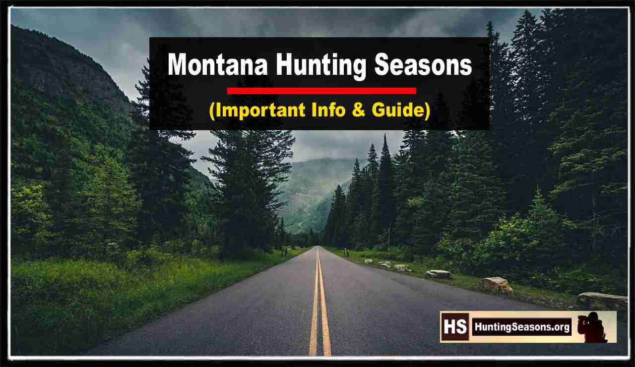 Montana Hunting Seasons 20232024 [New Schedule!]