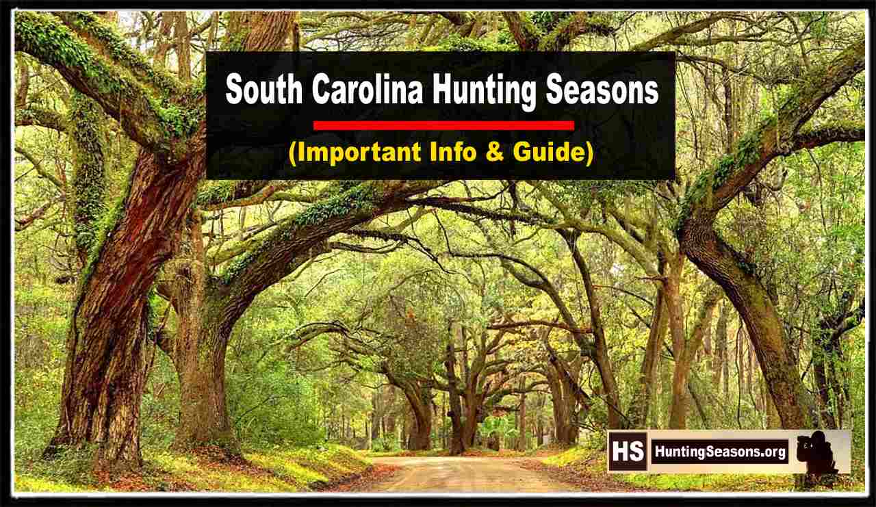 South Carolina Hunting Seasons 20232024 [Updated Schedule