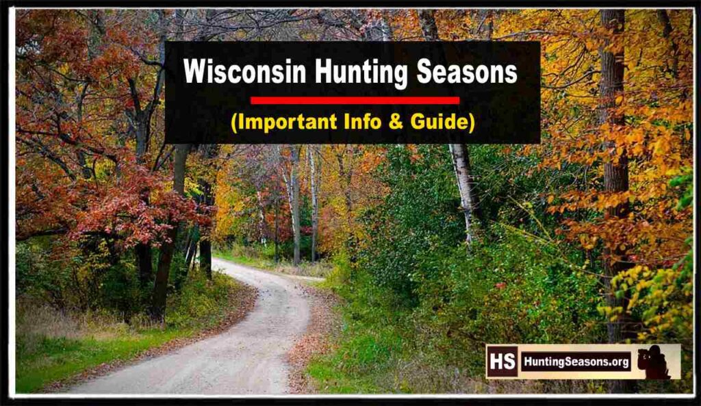 Wisconsin Hunting Season