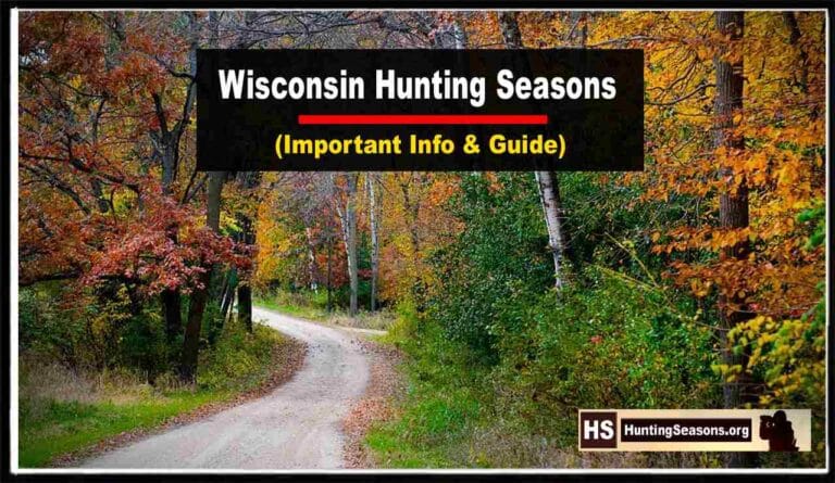 wisconsin-hunting-seasons-2023-2024-new-regulations-dates