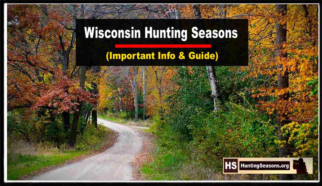 Wisconsin Hunting Seasons 20232024 New Regulations & Dates