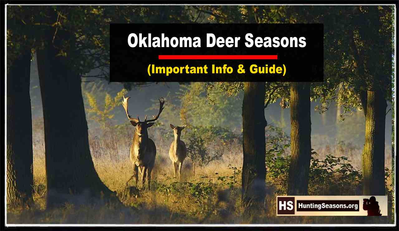 2024 Deer Season Oklahoma Gwenny Stepha