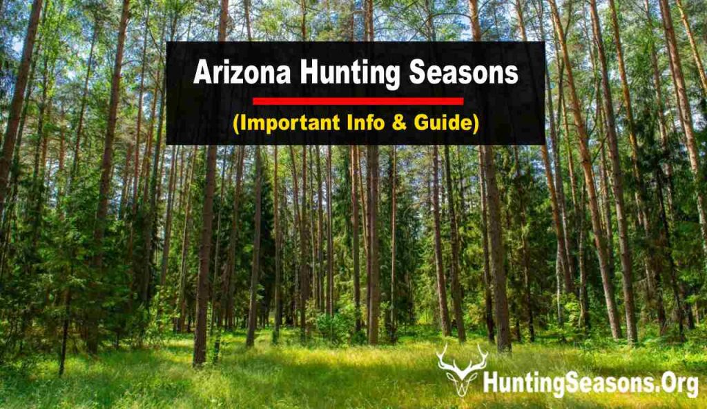 Arizona Hunting Season