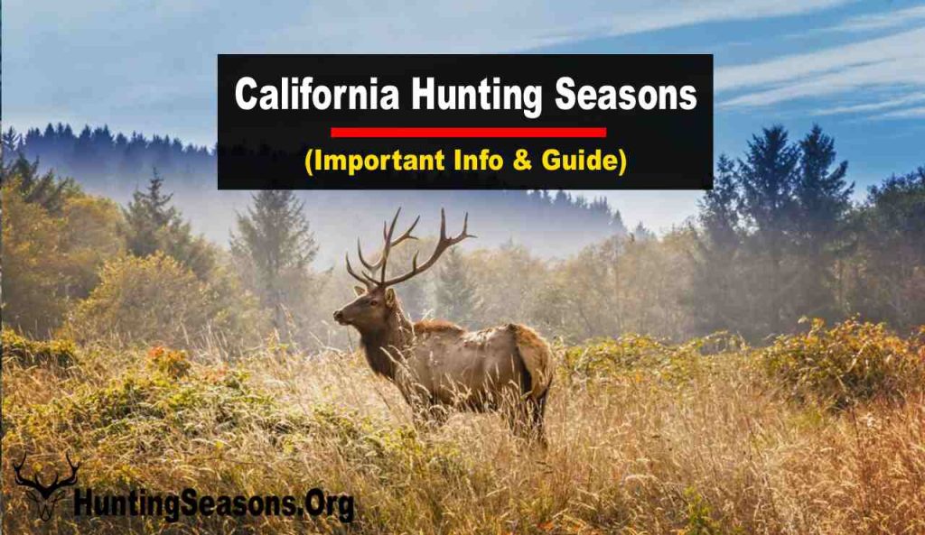 California Hunting Season