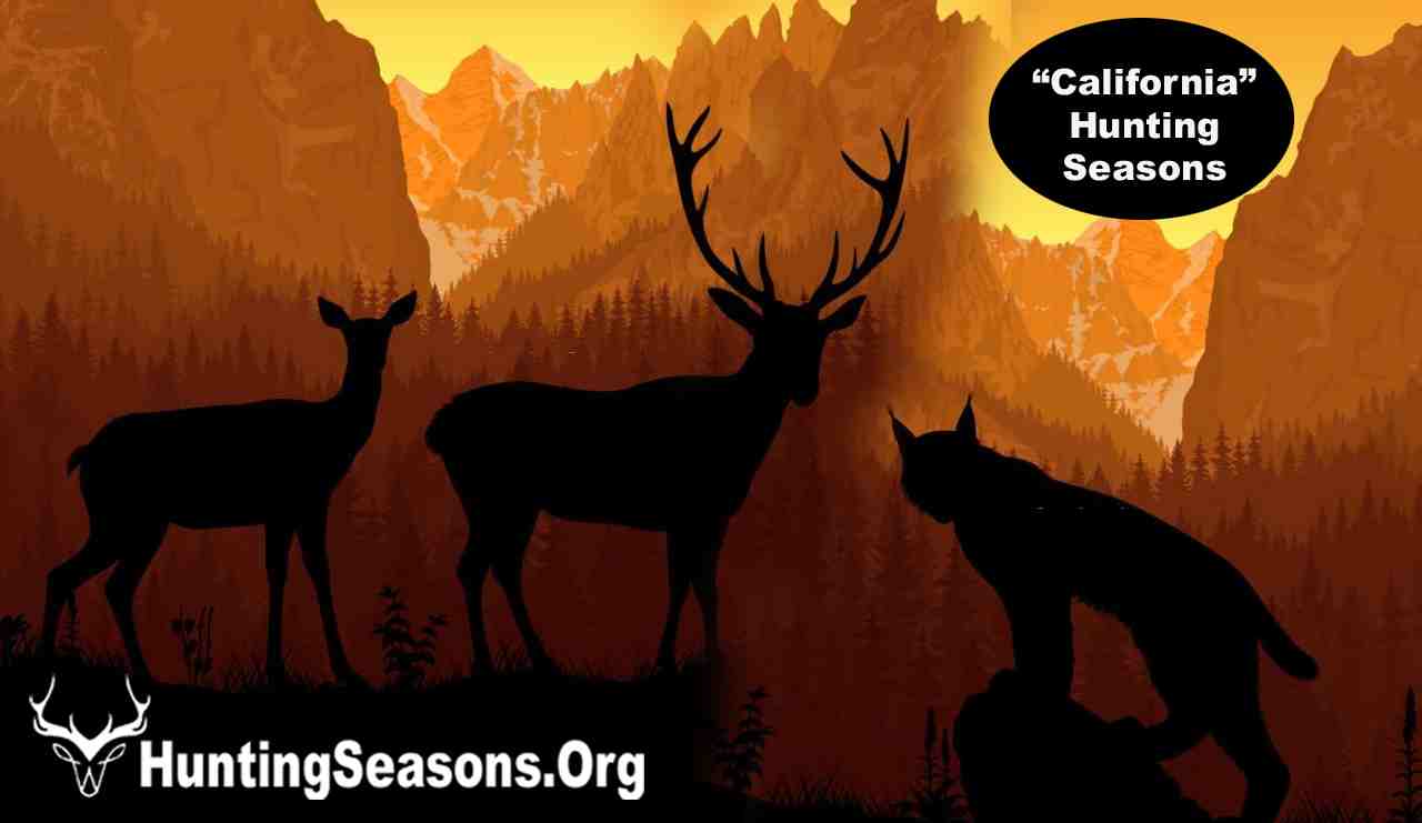 California Hunting Seasons 20232024; Updated Schedule! [Dates
