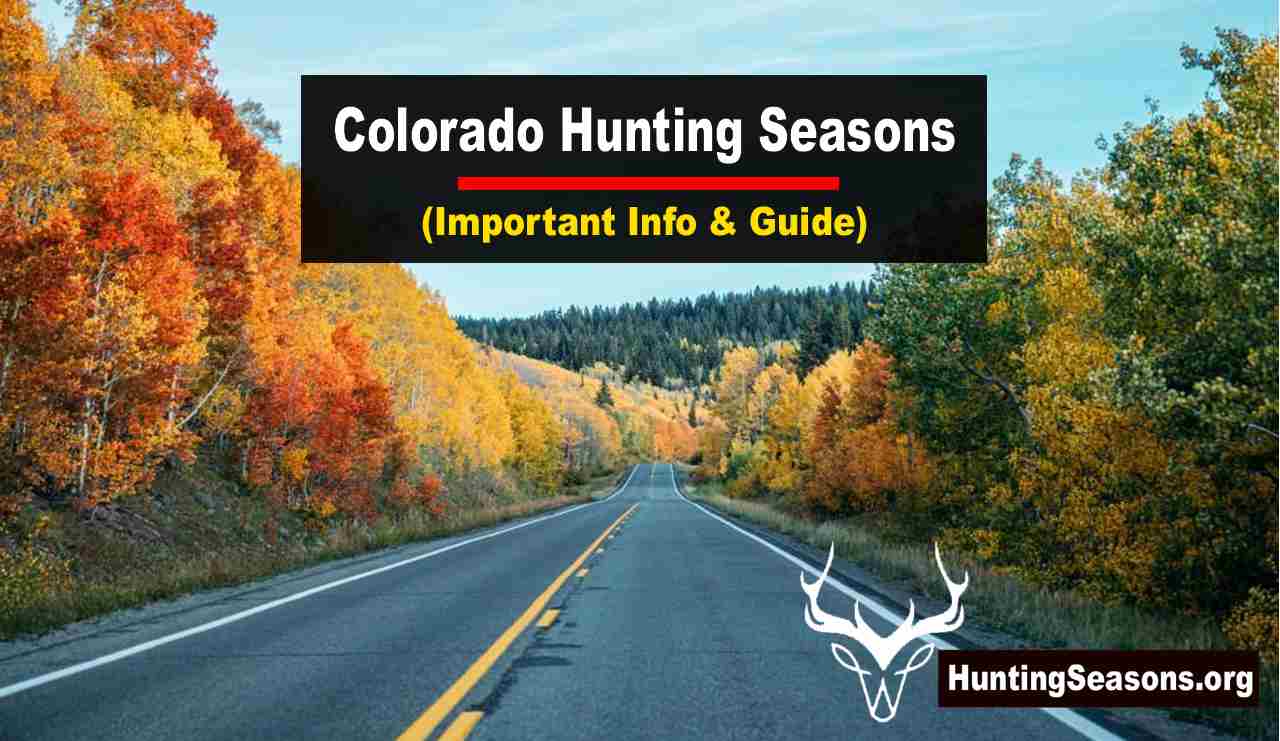 Colorado Hunting Seasons 20232024 New Rules & Dates