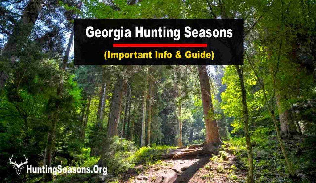 Georgia Hunting Season