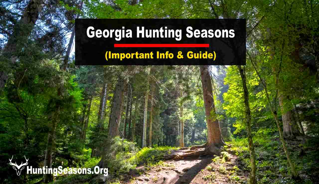Hunting Season 20232024 [Updated Schedule!]