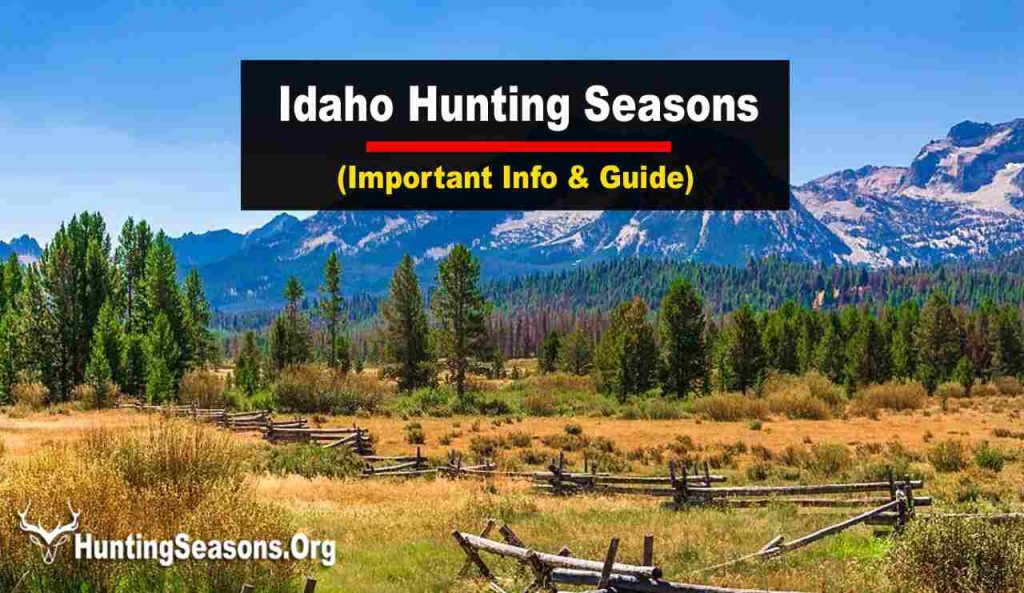Idaho Hunting Seasons 2023 🏹[Updated Schedule!] - HuntingSeasons.Org