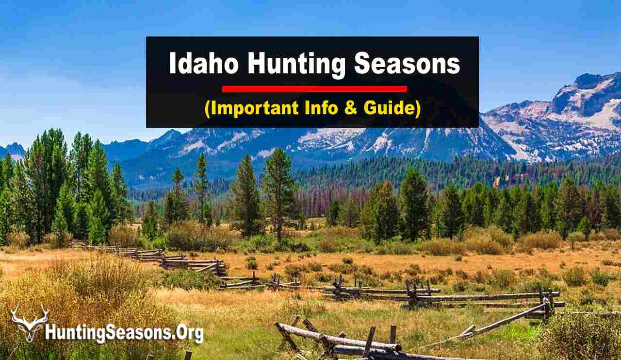 Idaho Hunting Season 20232024 🏹New Regulation & Latest Dates
