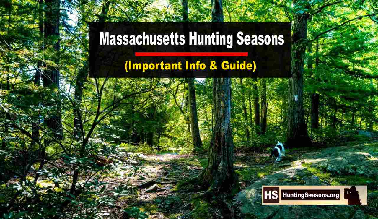 Massachusetts Hunting Seasons 20232024 New Dates & Regulation