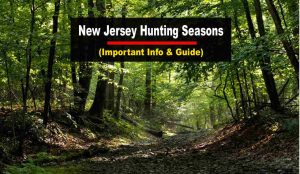 New Jersey Hunting Seasons 2023-2024 [Updated Schedule ...