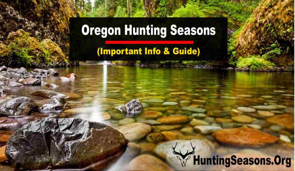 Oregon Hunting Season
