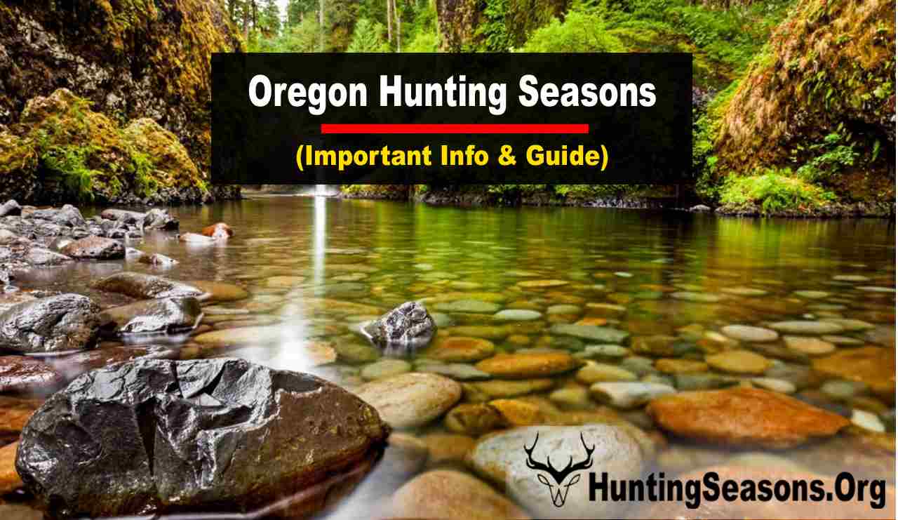 Oregon Hunting Seasons 2023 Bag Some Big Game!