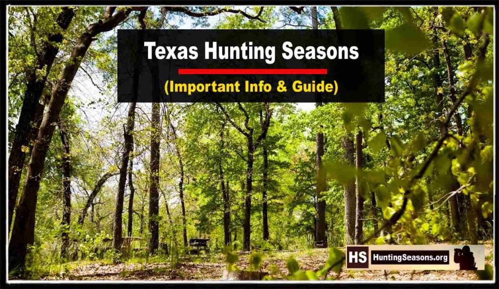 Texas Hunting Seasons 2023 2024 Updated Schedule HuntingSeasons Org