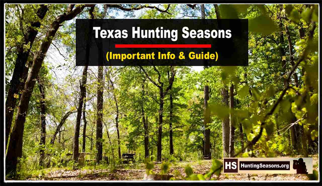 Texas Hunting Season 20232024 Latest Dates & New Laws Announced