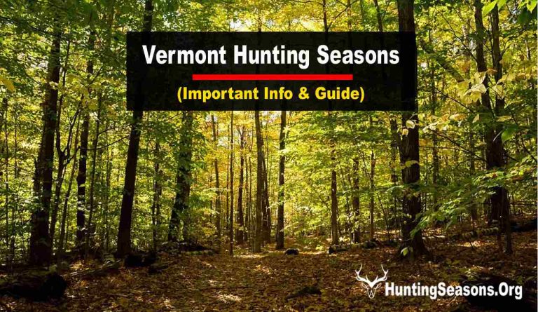 2024 2025 Vermont Hunting Seasons New Regulations Dates   Vermont Hunting Seasons 768x445 