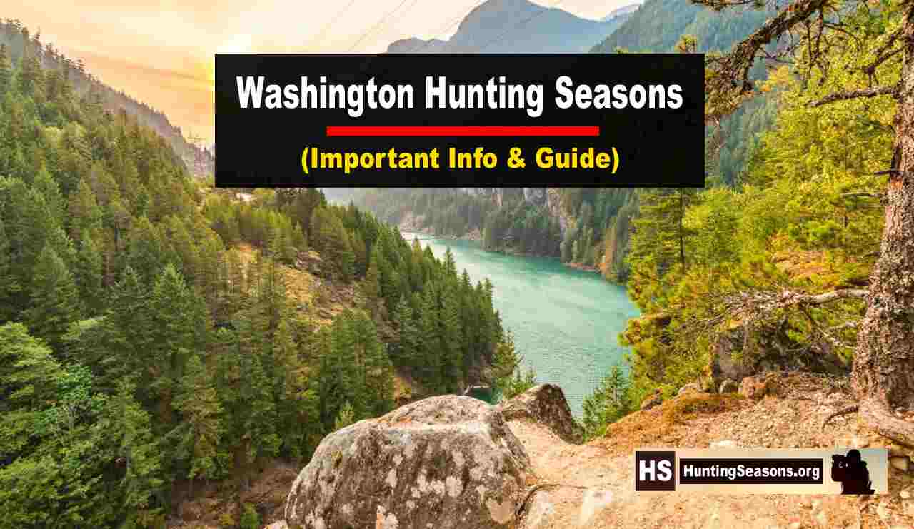 Washington Hunting Seasons 20232024 New Dates & Regulation