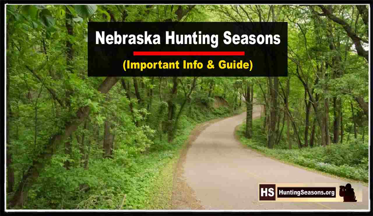 Nebraska Hunting Season 20232024 New Dates & Regulation