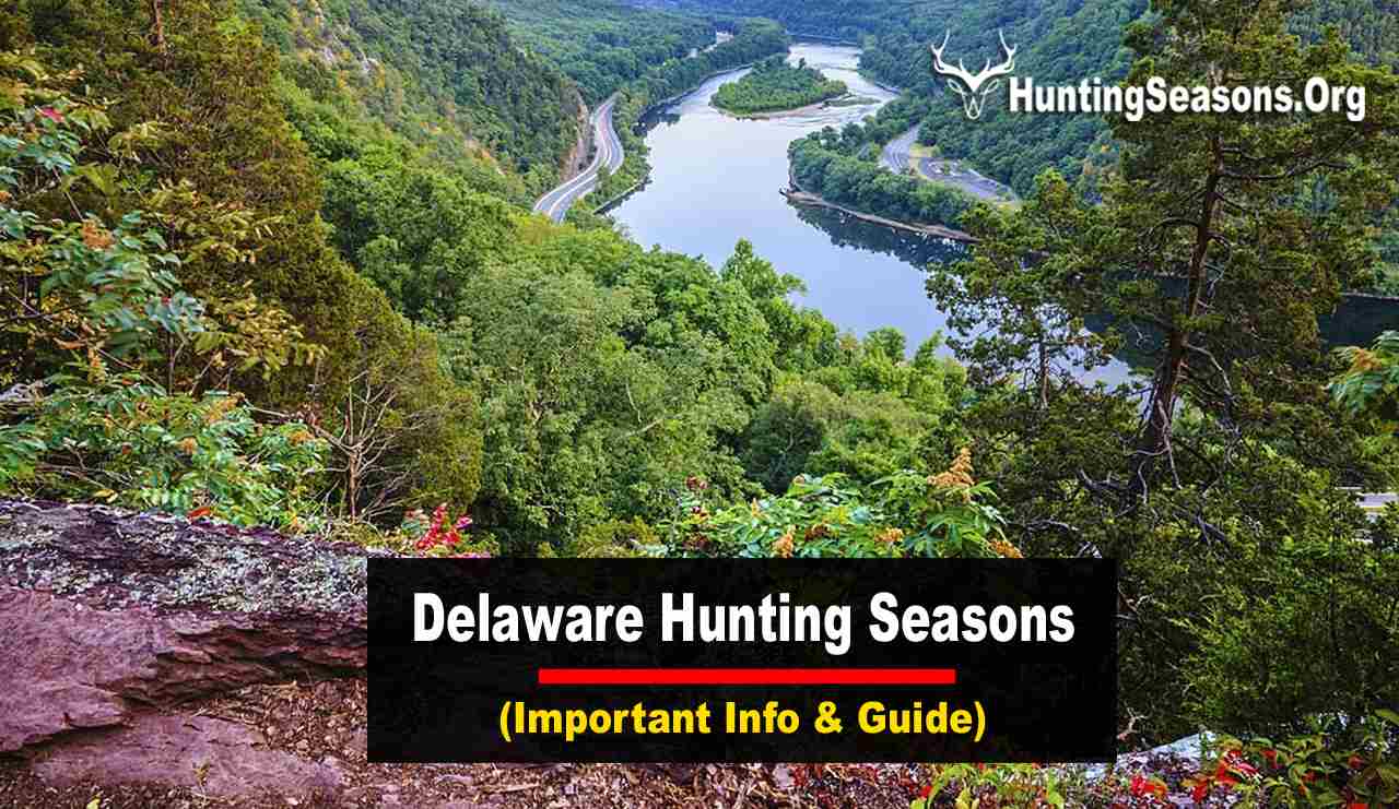 Delaware Hunting Seasons 20232024 New Guidelines & Dates