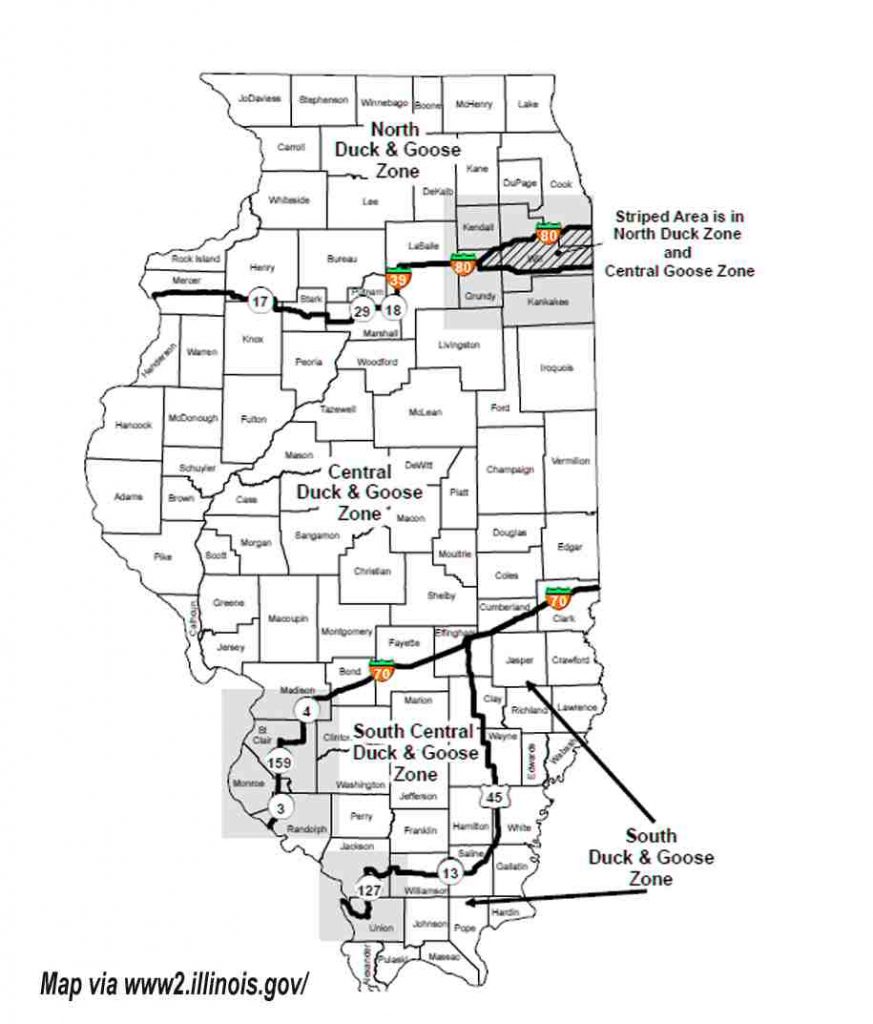 Illinois Goose map
